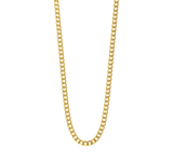 Curb Chain |  Necklace